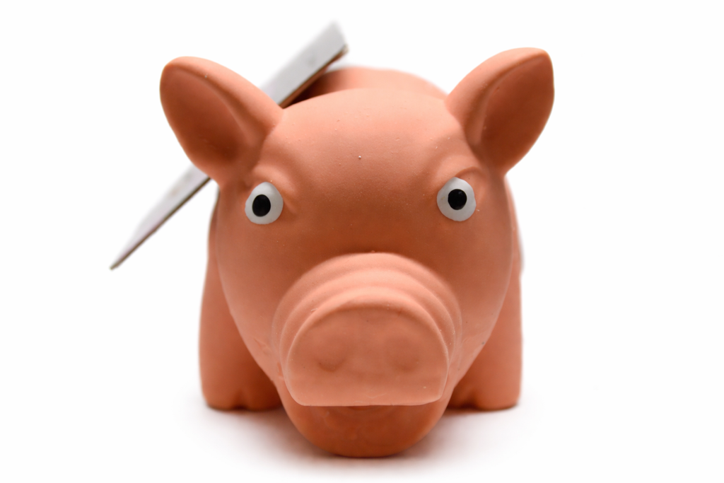 Honking Latex Dog Chew Fetch Toy:Pig Hippo Vinyl Puppy Toy with Squeak