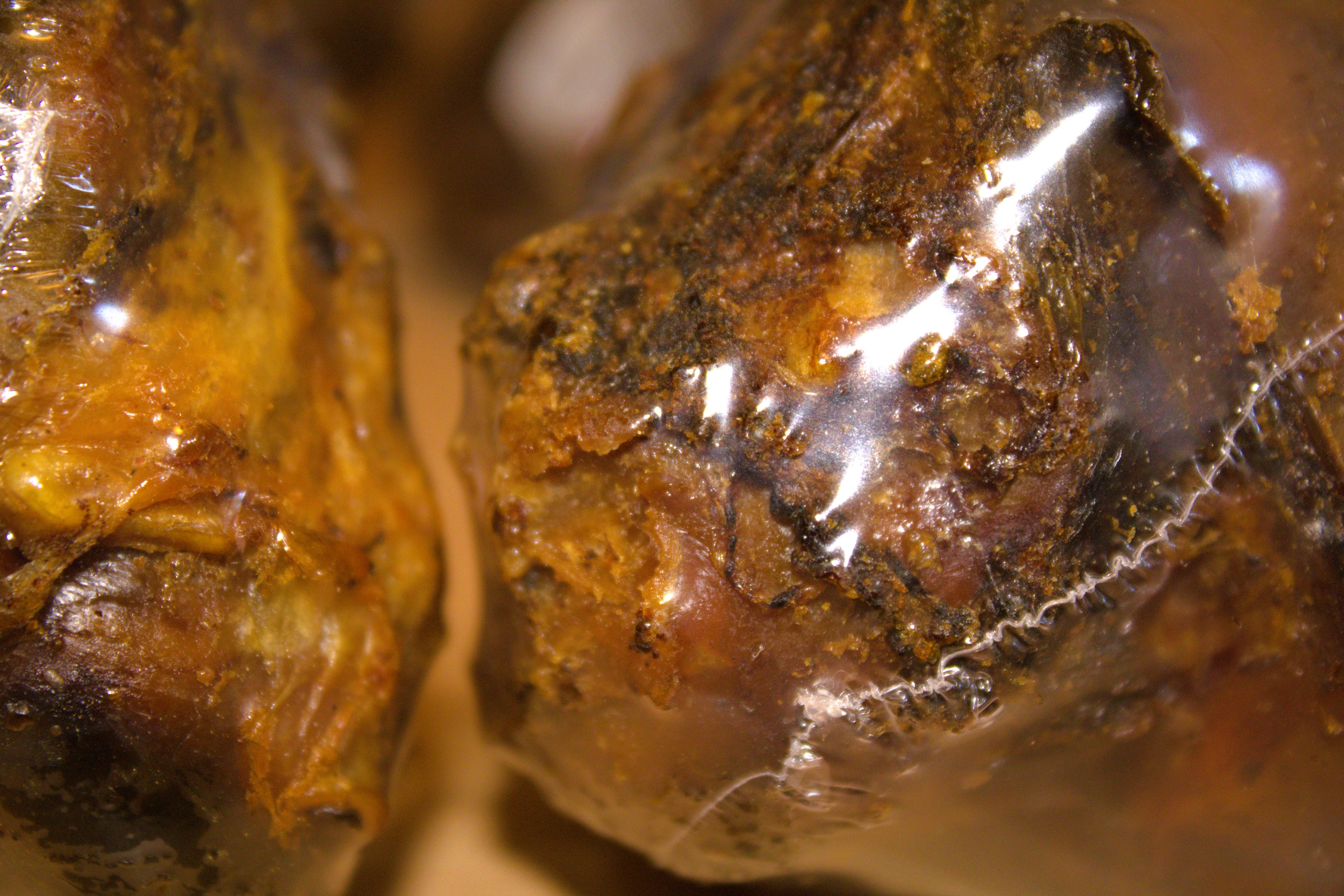 Large Roasted Dog Bones Pack Of 2 Natural Treat Chew Snack