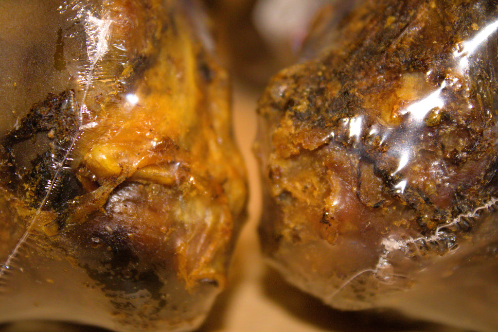 Large Roasted Dog Bones Pack Of 2 Natural Treat Chew Snack