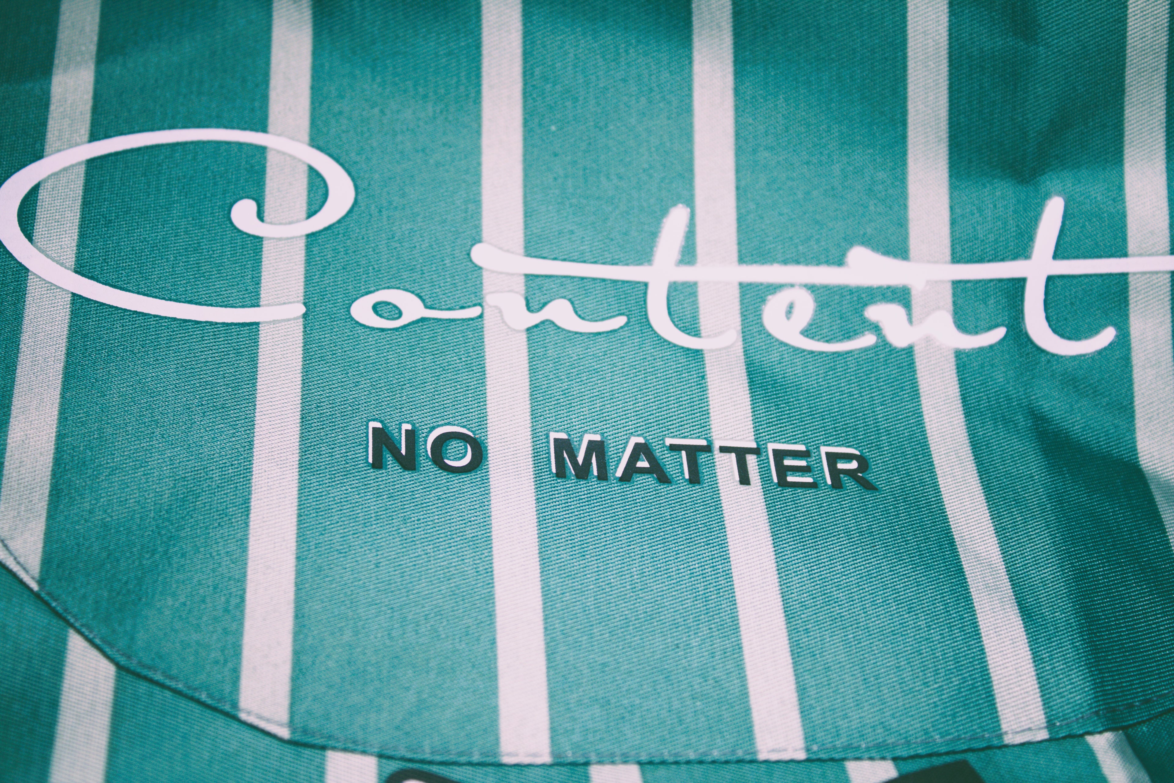 Dog Groomer's Professional Green Apron Waterproof Adjustable Strap Cartoon Dog