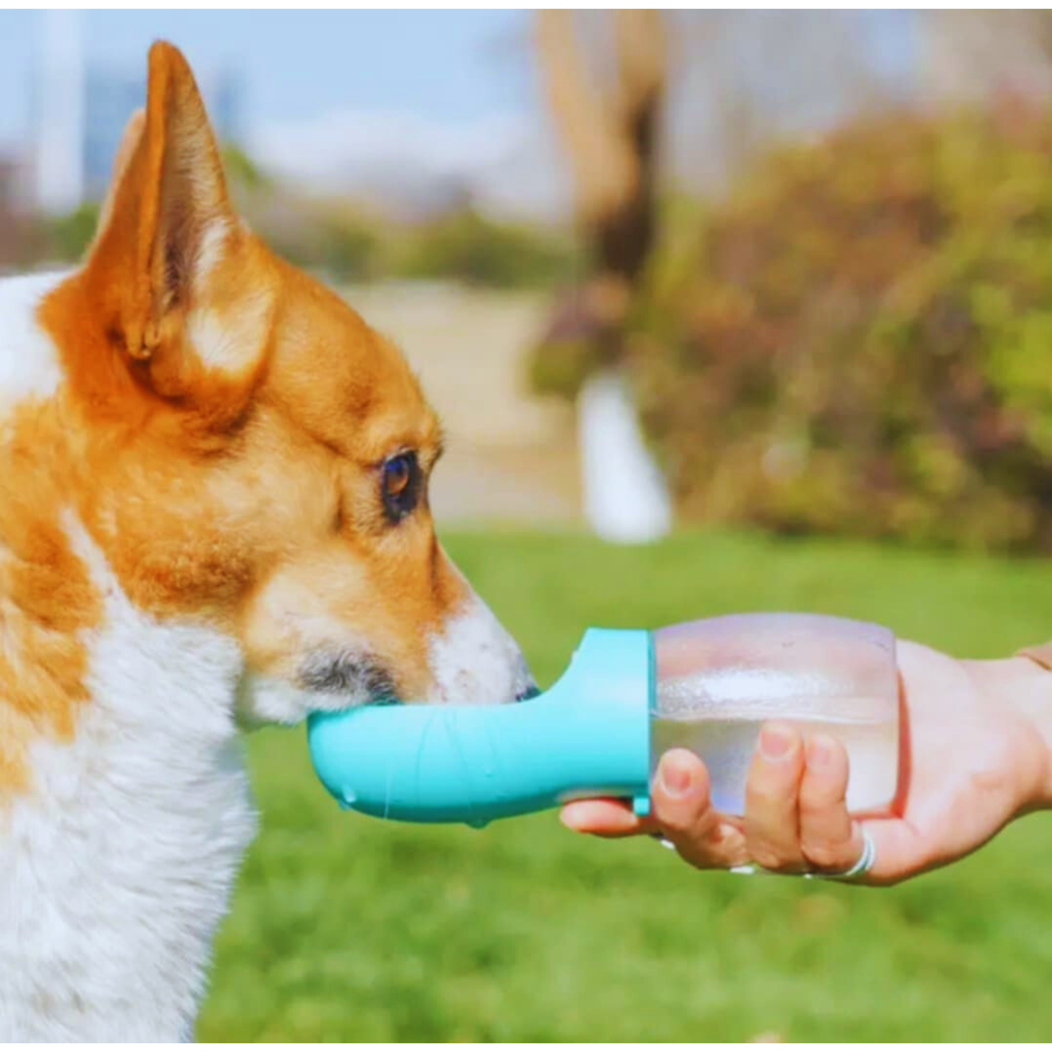 Portable Pet Water Bottle (Beige)