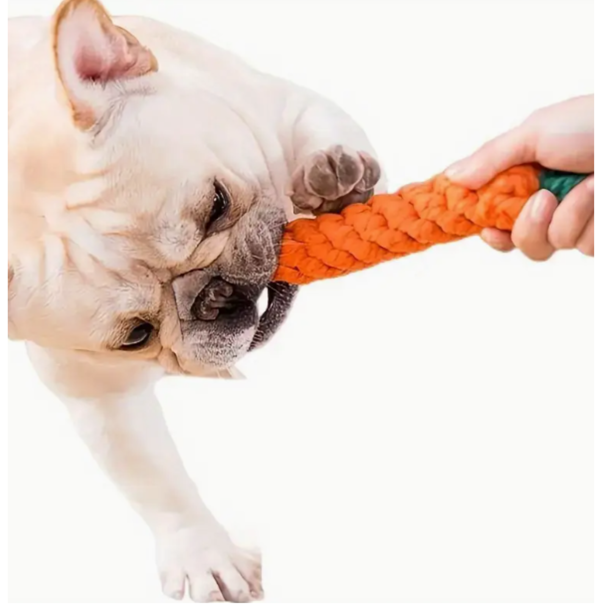 Pet Toy  Durable Carrot Rope for Agrresive Chewers Dog Chew Toy