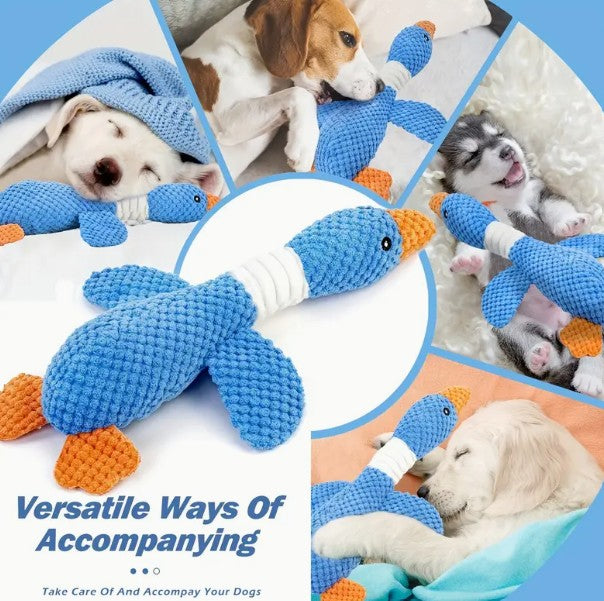Plush Duck Dog Toy Chew BLUE Squeaky Interactive L28-32CM PUPPY