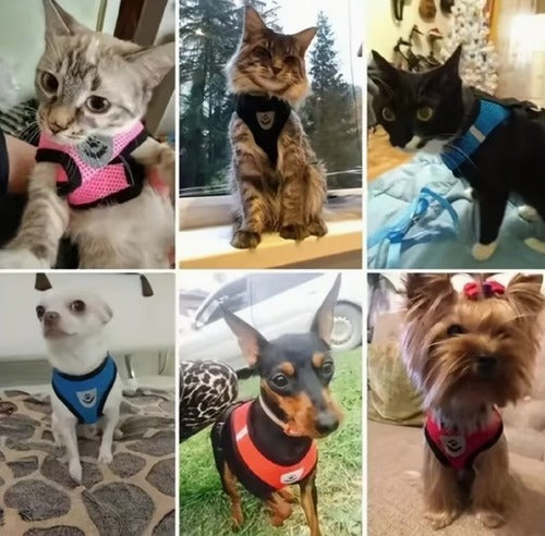 Dog Harness Soft Adjustable Reflective Comfortable Puppy Vest Mesh Cat/Small Pet