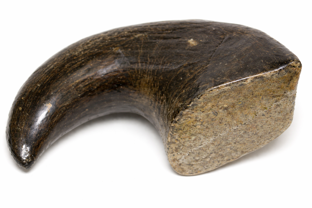 Buffalo Horns with Beef & Chicken Meat Filling Dog TREAT Chew Bone Long Lasting