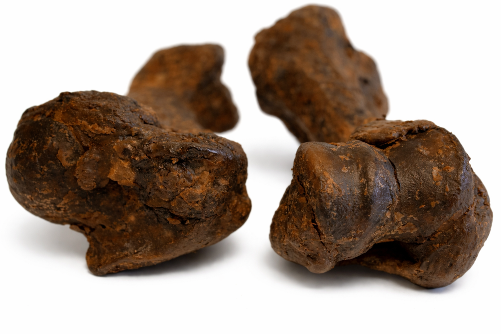 Roasted BONES Pack Of 2 Dog Treat Chew Snack Natural Extra Meaty