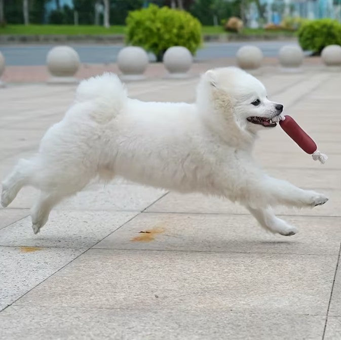 4 Sausages Dog Toy Sausage Puppy Chew Toy Interactive Novelty Toy