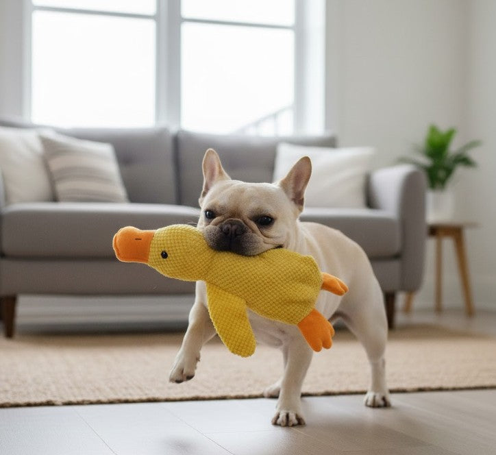 Plush Duck Dog Toy Chew Proof Yellow Squeaky Interactive Quacking Sound